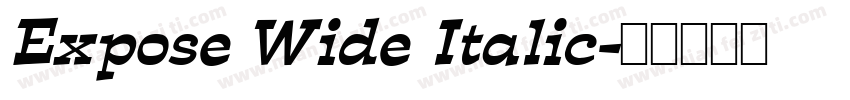 Expose Wide Italic字体转换
